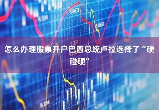怎么办理股票开户巴西总统卢拉选择了“硬碰硬”