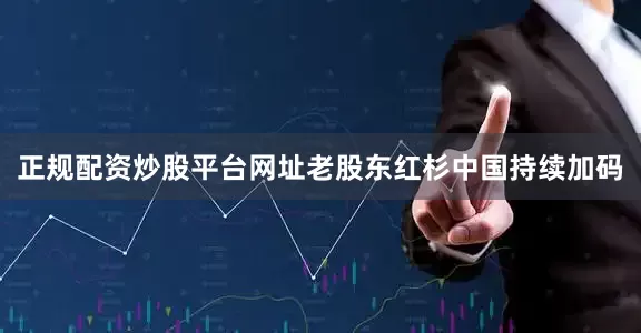 正规配资炒股平台网址老股东红杉中国持续加码
