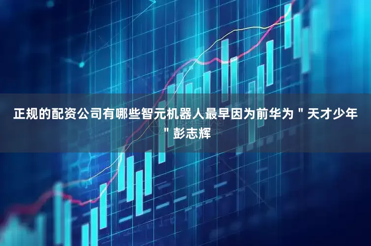 正规的配资公司有哪些智元机器人最早因为前华为＂天才少年＂彭志辉