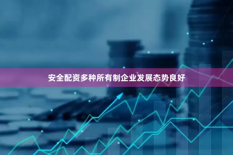 安全配资多种所有制企业发展态势良好