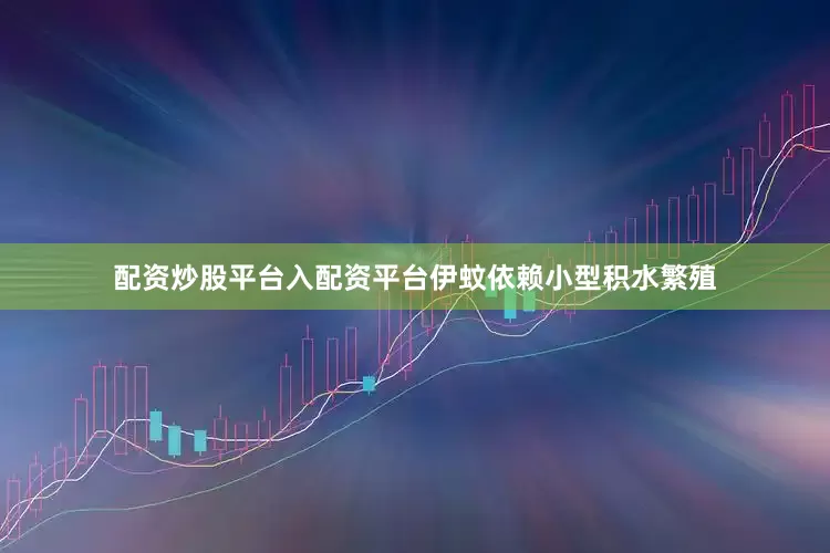配资炒股平台入配资平台伊蚊依赖小型积水繁殖